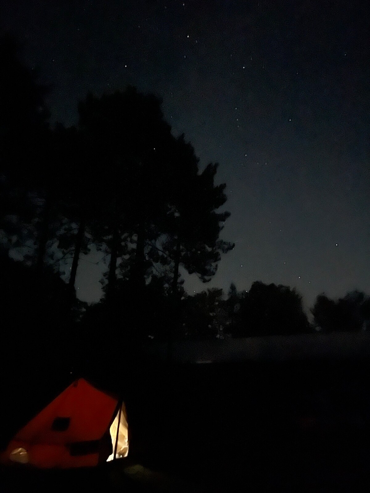 Bell Tent on Working NH Horse Farm and Stargazing