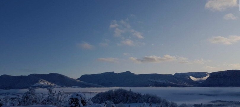 Chalet en chartreuse