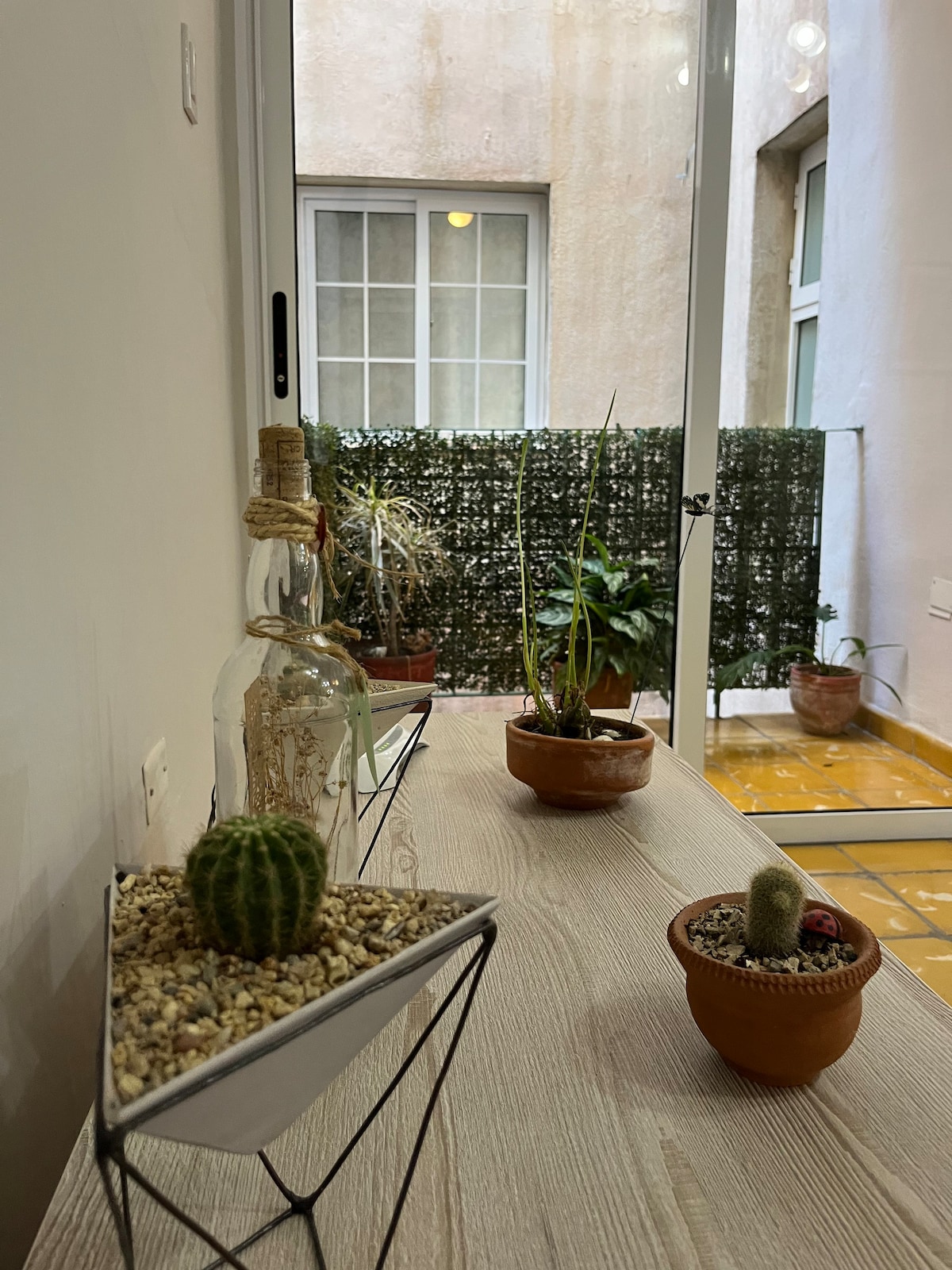 Suite Cactus + Wi-Fi!