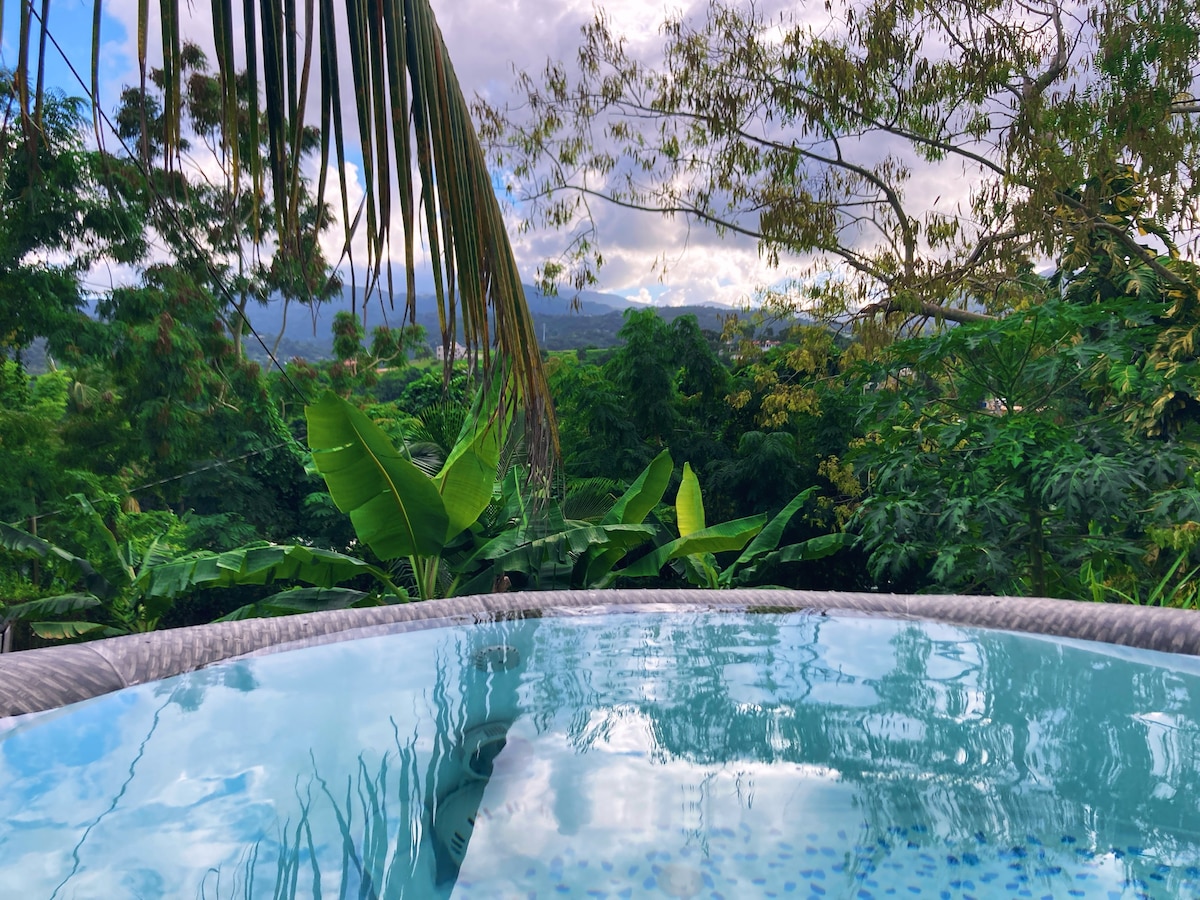 Penthouse 3 bdrm Rainforest & Ocean View Jacuzzi