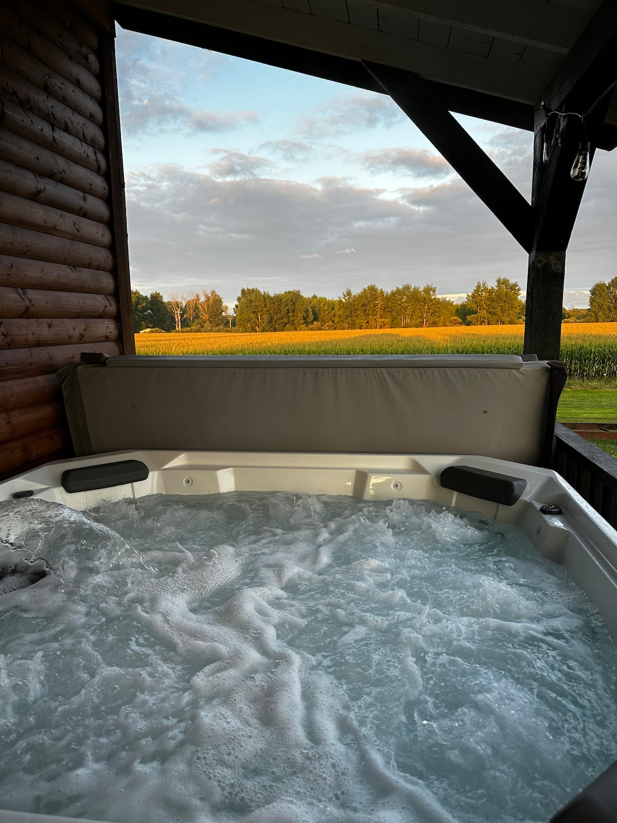 Cozy Cabin, Luxury Hot Tub, GameRoom -Lake Huron