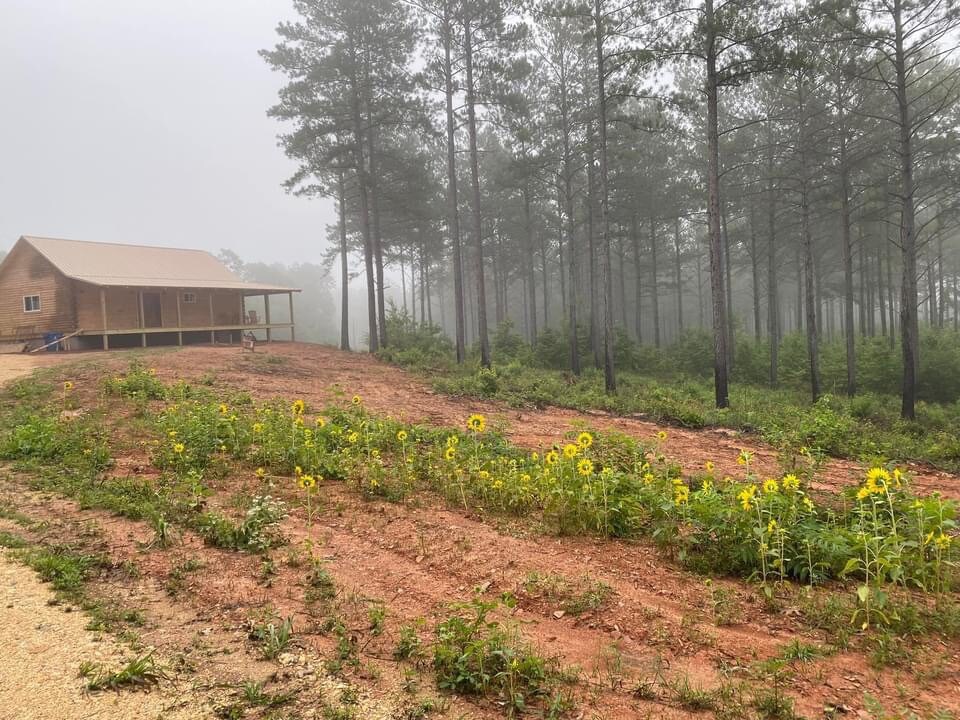 Sunflower Hideaway on 400 acres