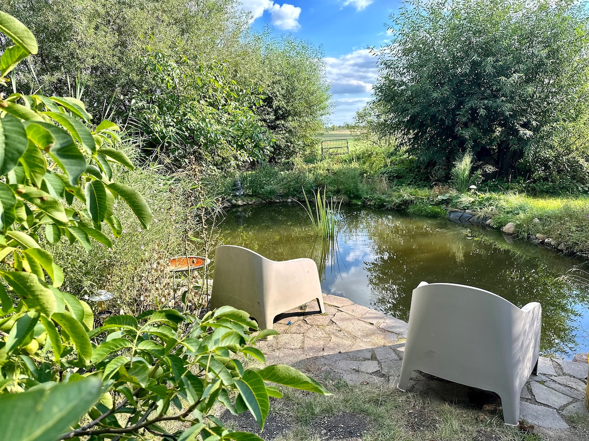 Mecklenbü mit Teich, Kamin, Sauna und Hotpott