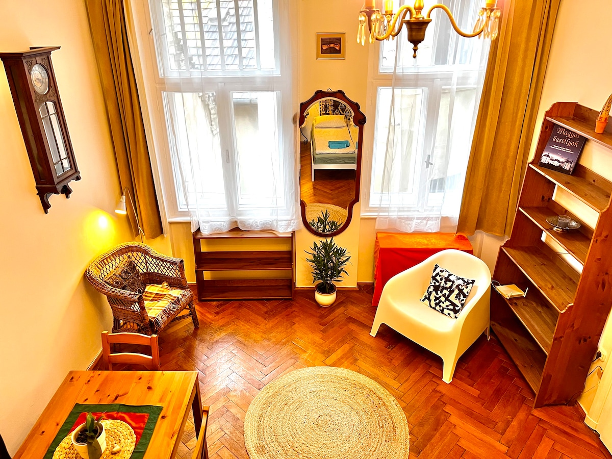 Heart of Buda Apartment