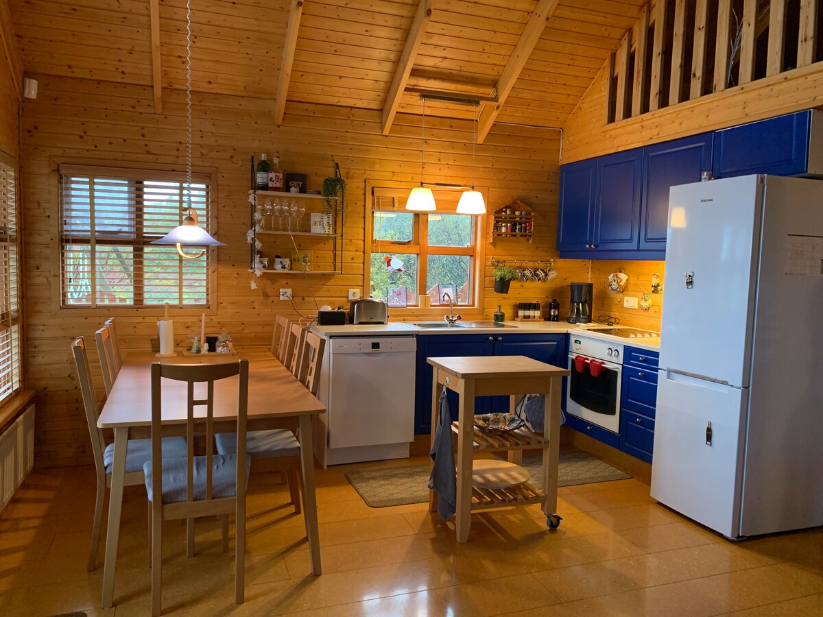 Cosy family cabin near Geysir