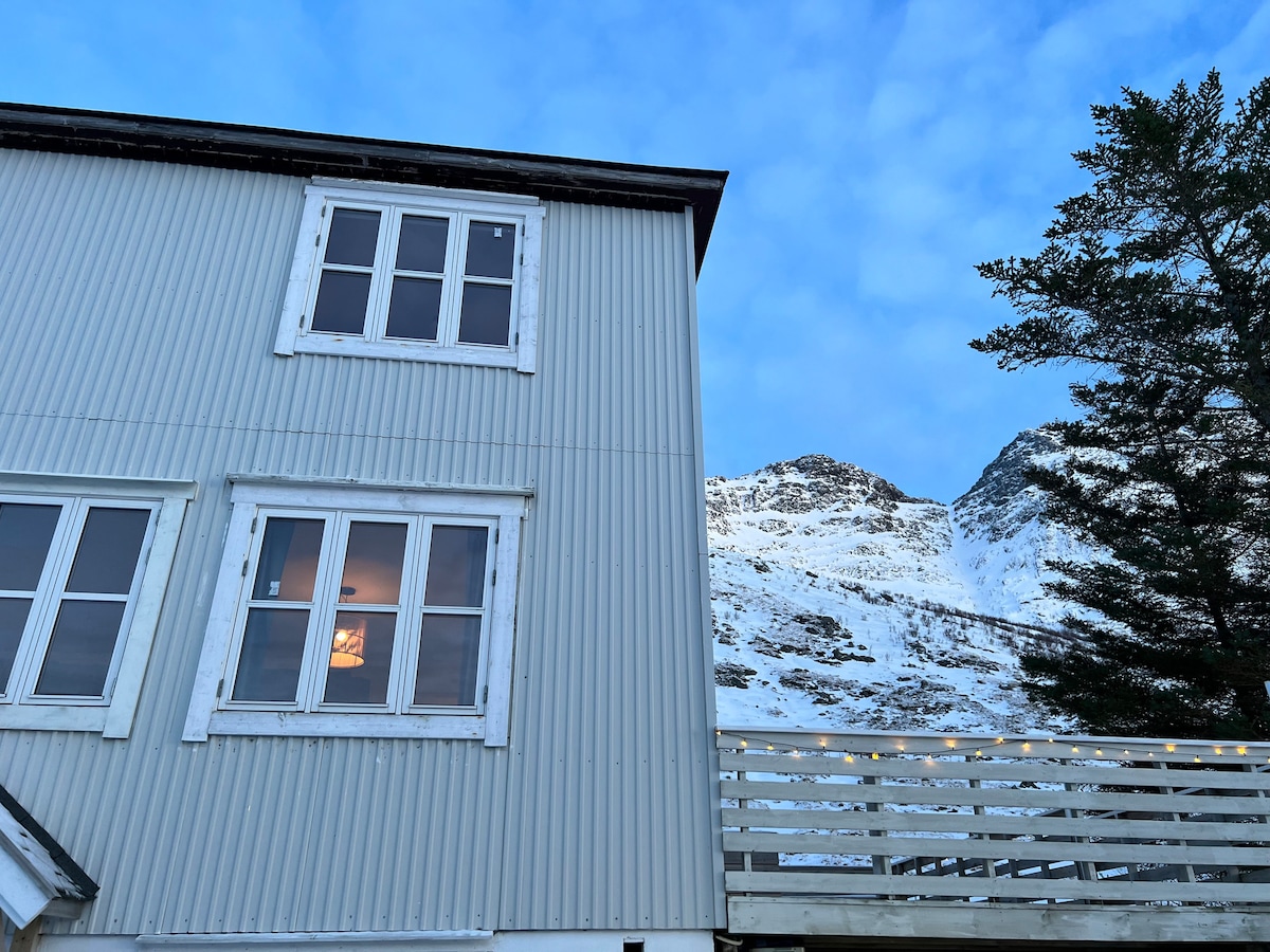 Lofoten Fjord House - great for big groups