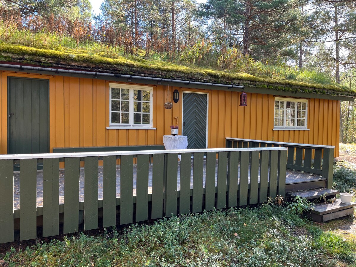 Koselig hytte i skogen m/ enkel standard