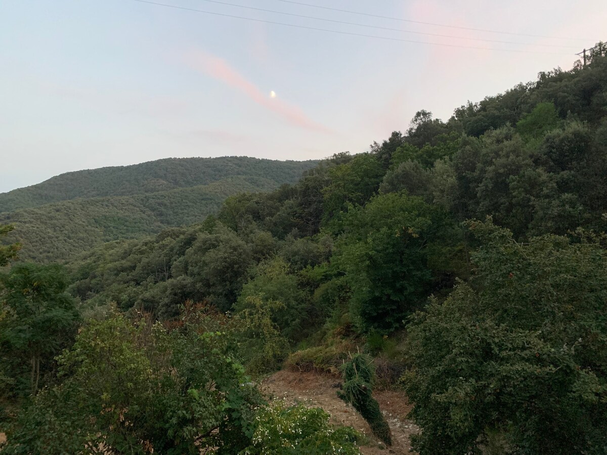 Magnifique maison en pleine nature - Cévennes