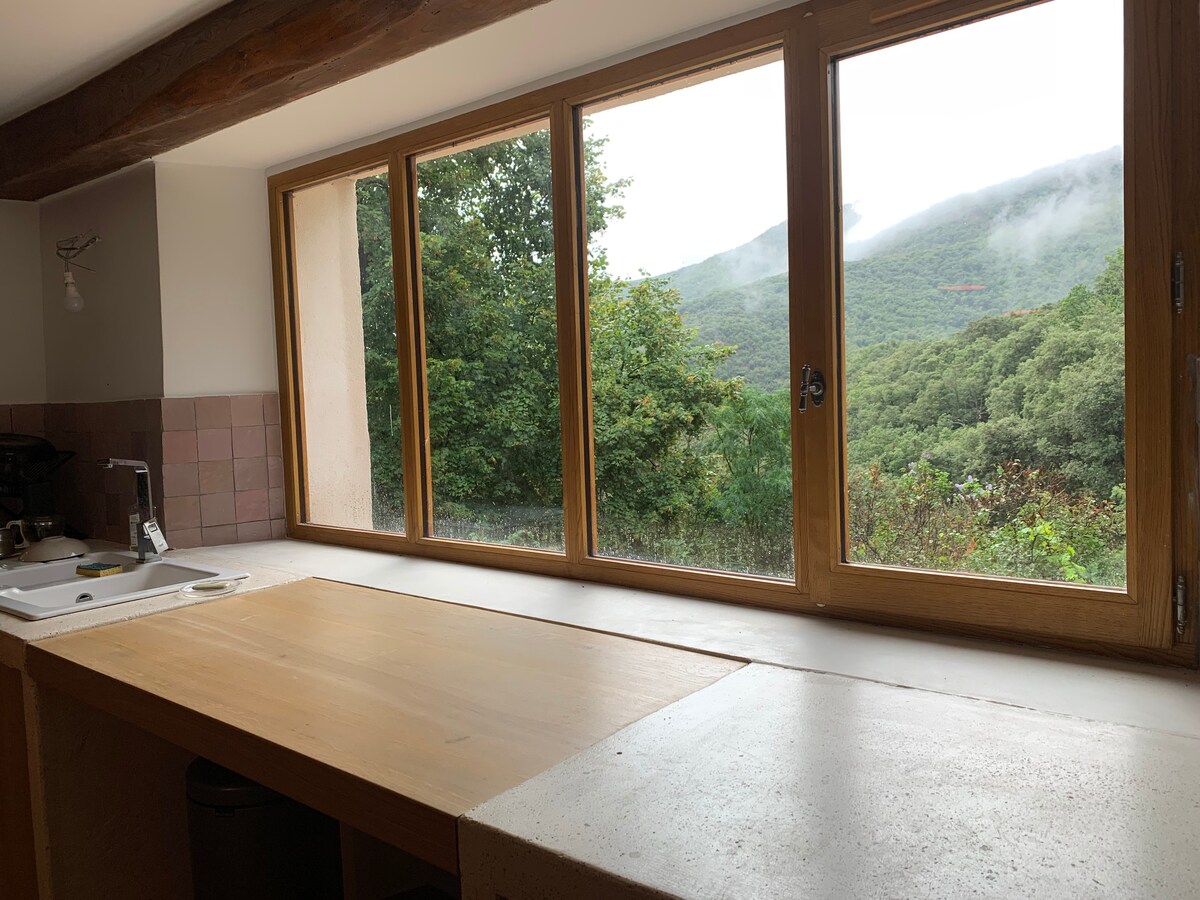 Magnifique maison en pleine nature - Cévennes