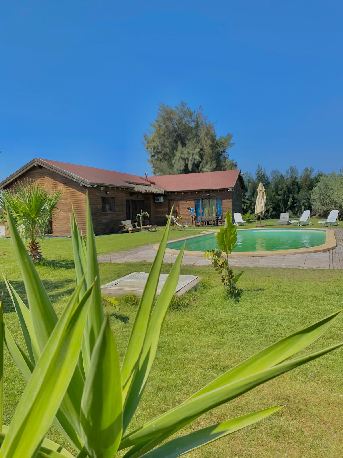 Chalet essanya, maison en pleine nature + piscine