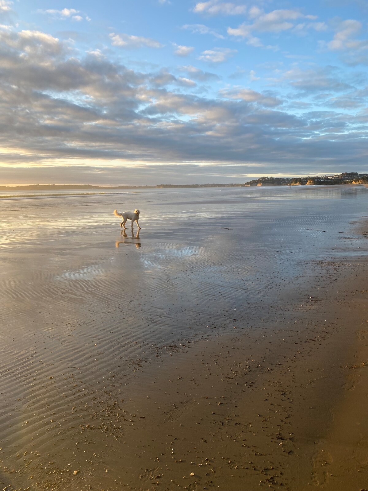 Orewa “The Happy Place” Sea View, Beach & Shops