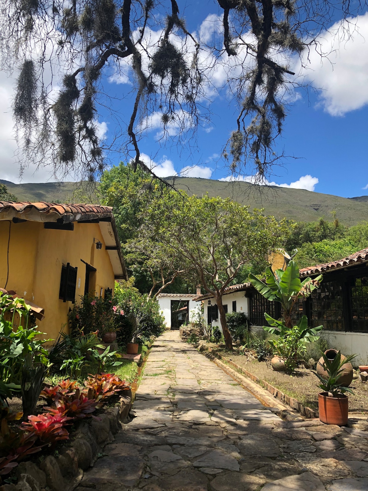 Cabaña Puente del molino