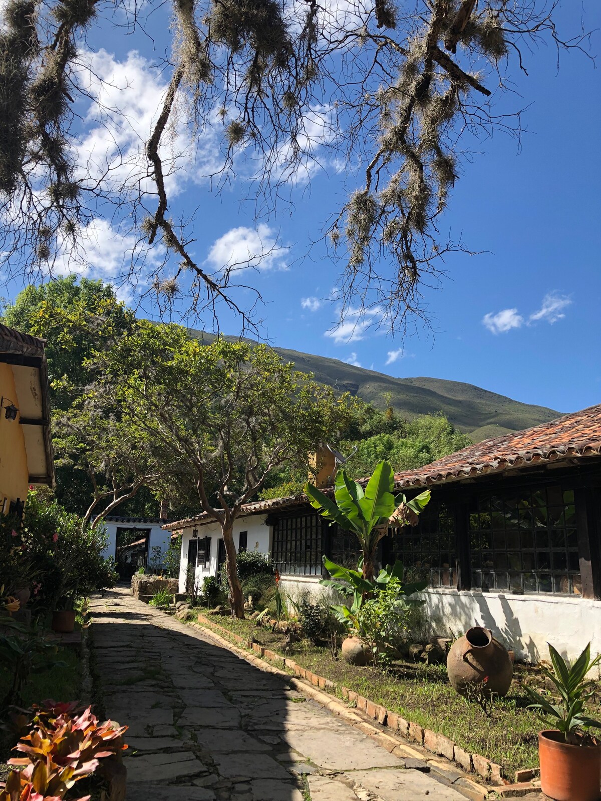 Cabaña Puente del molino