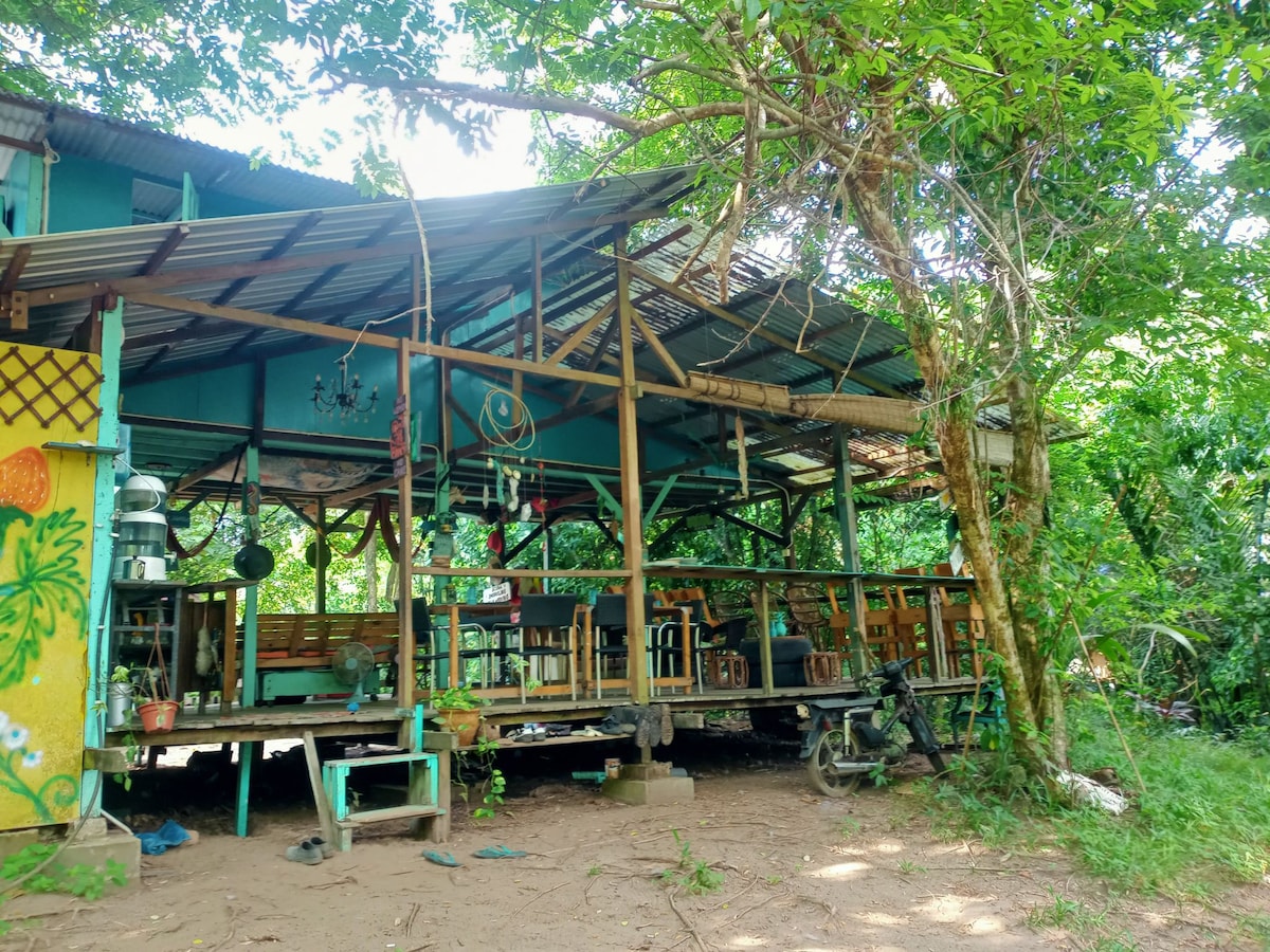 Nature 's Haven, Eco Jungle Lodge