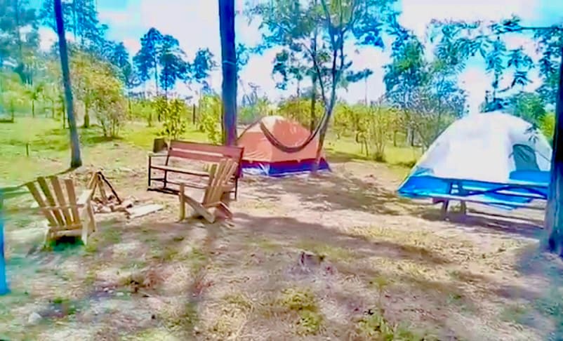 Camping y fogatas en Zambrano