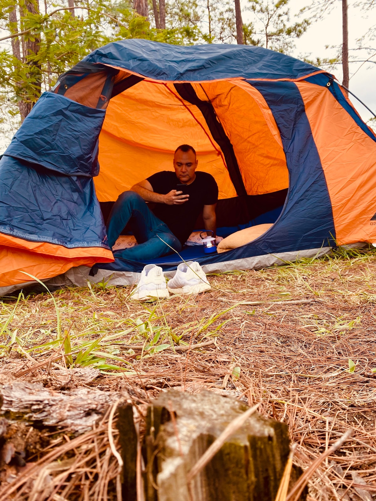 Camping y fogatas en Zambrano