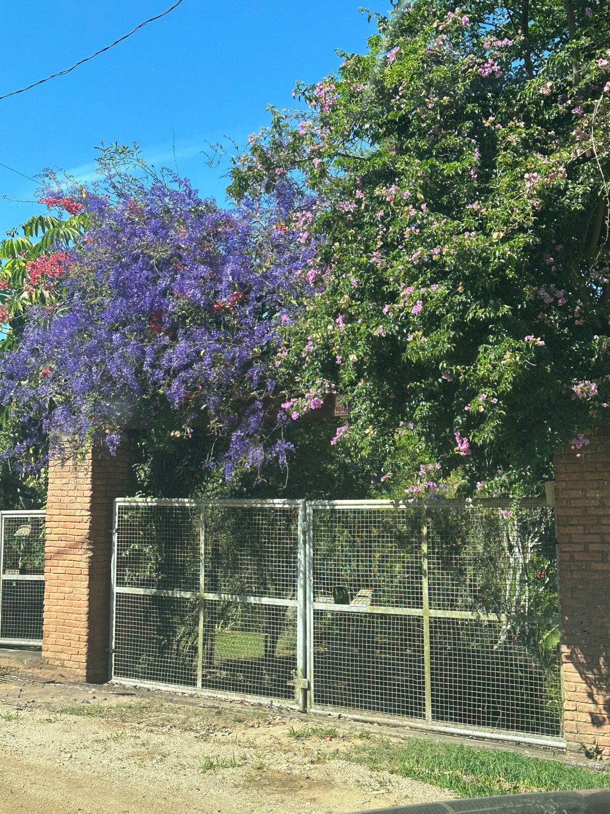 Sitio Beija Flor in São Roque