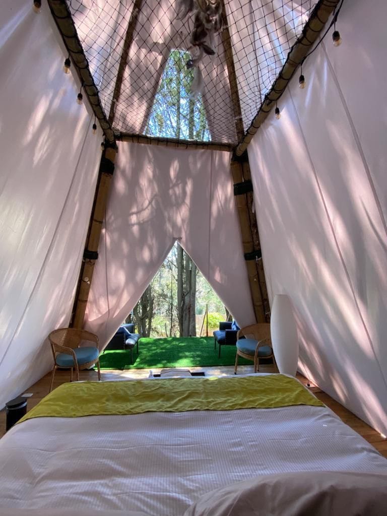 Bosque, Glamping perfection