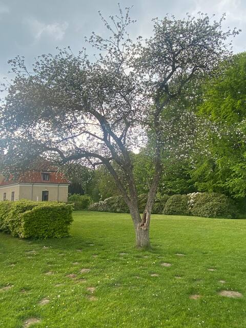 Stilhed og natur, tæt på Århus