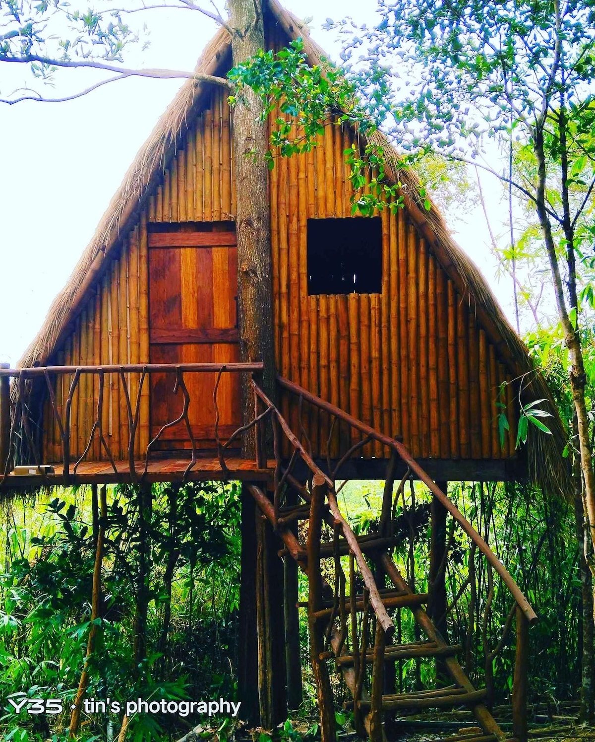 Sanctuaria Treehouses Cosmos Treehouse