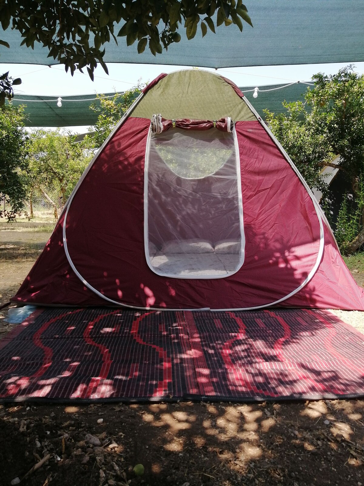Kampluş Adrasan camping