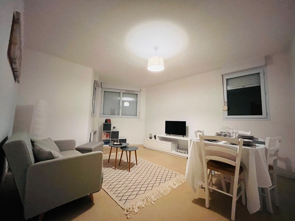 Appartement - Toulouse