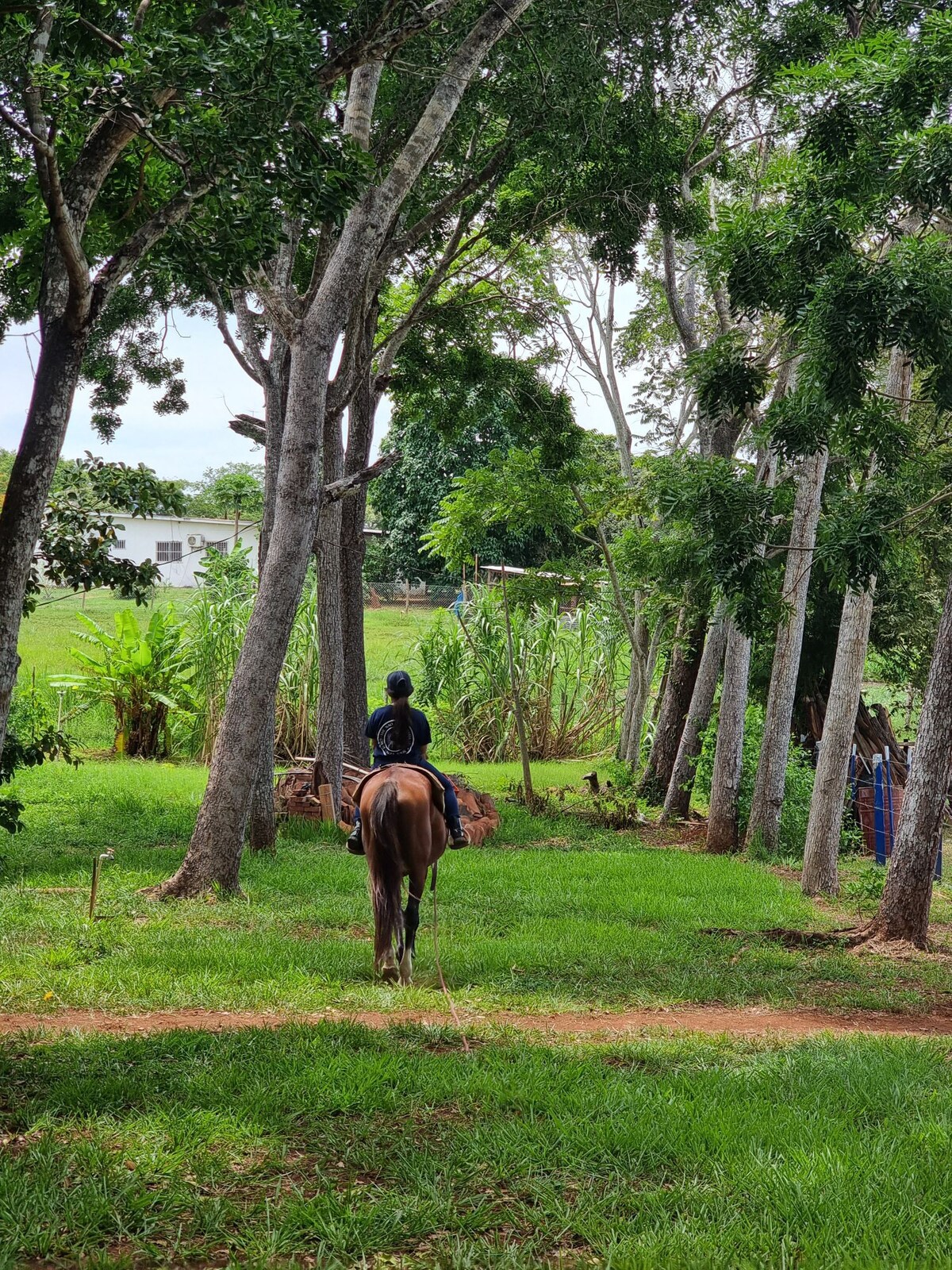 Granja, Camping y Agroturismo