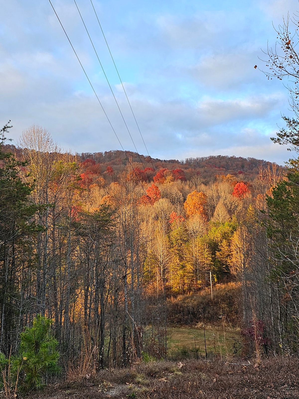 Mountain barndominium retreat with pickleball