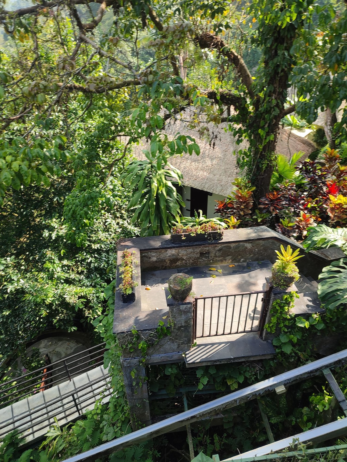 舒适的HomeStay @市中心