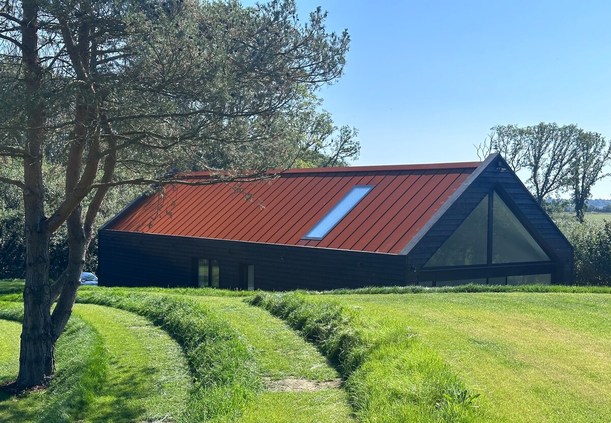 Contemporary modern barn space