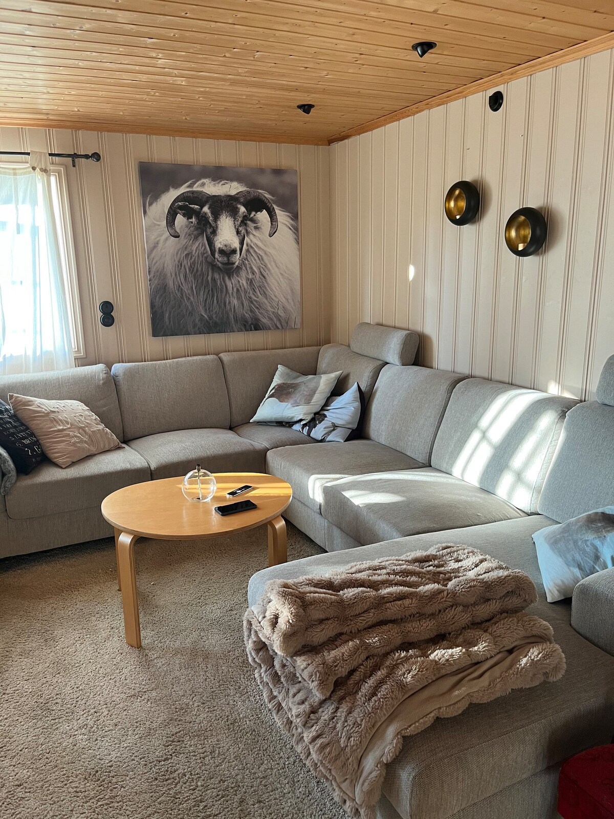 Cozy cabin at Søvasskjølen