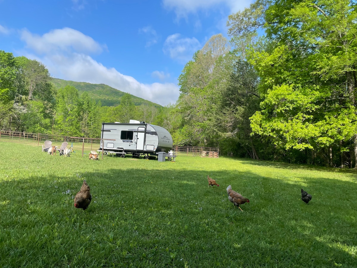 Camper In The Cove