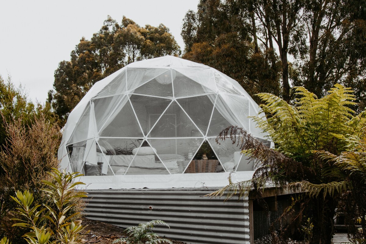 Bush Glamping Dome Boat Harbour