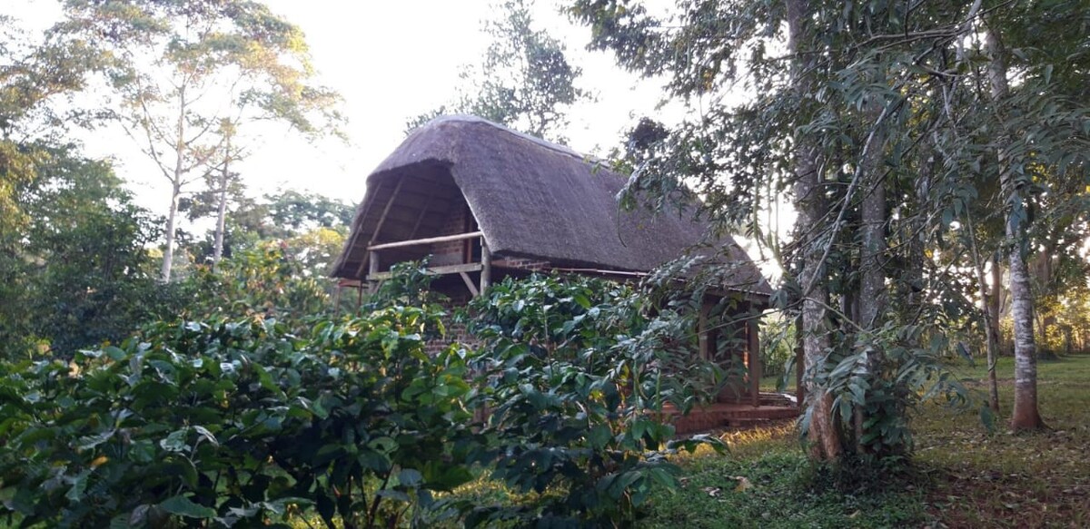 The Cottage Beside Still Waters