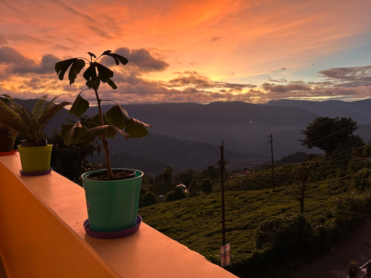 Ejam House, with a tea garden view