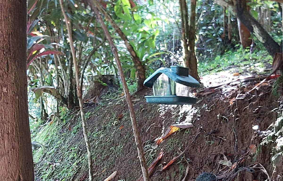 Cabaña de montaña en Ciudad Quesada