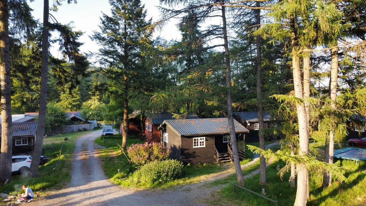 Cosy log cabin in beautiful area