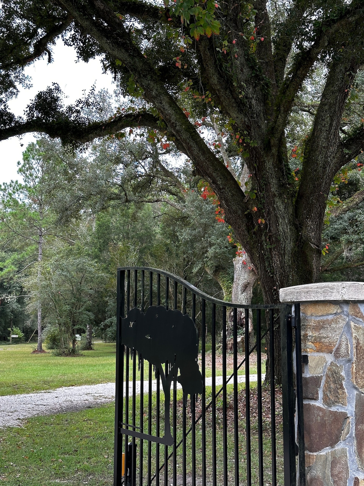 The Tiny House at Pimperl Place