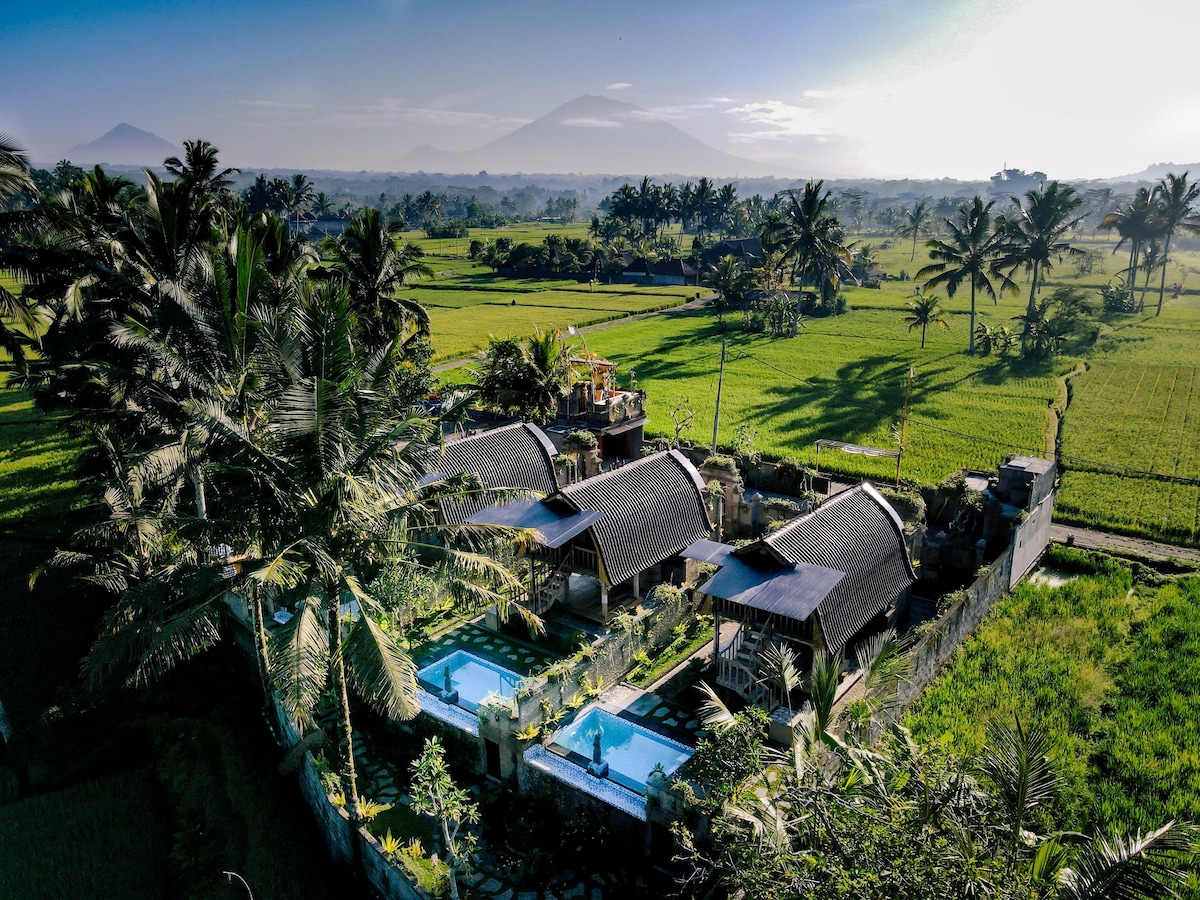 Bali's Hidden Gem Villa W/Private Pool Near Ubud