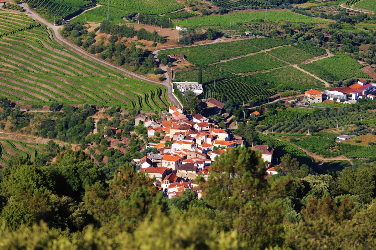 BABhouse Lagar Antigo - Coração do Douro