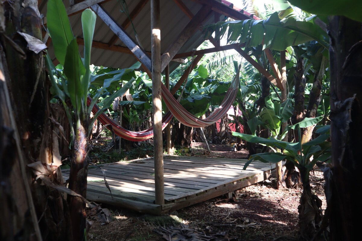 香蕉生态营-小木屋