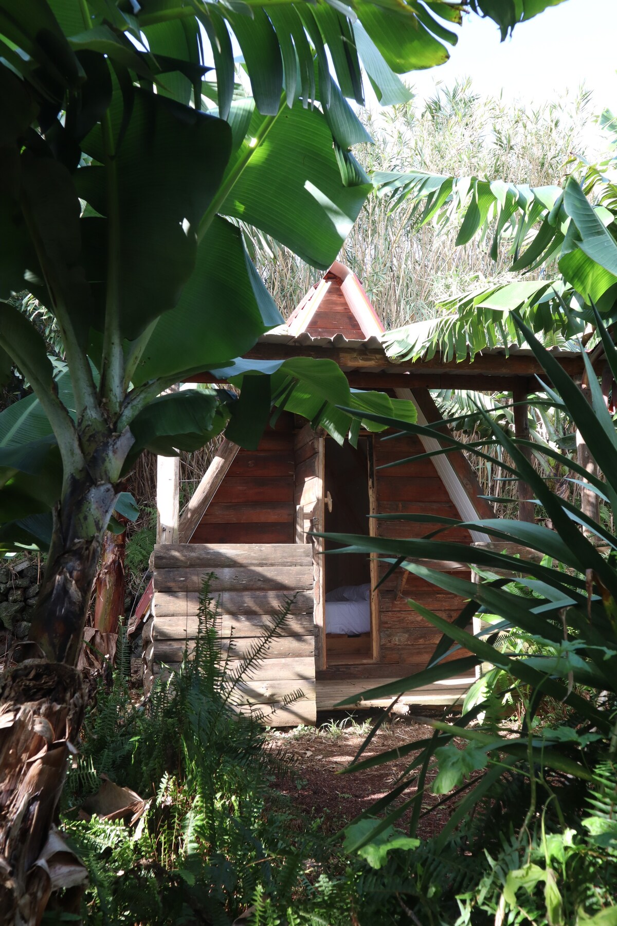 香蕉生态营-小木屋