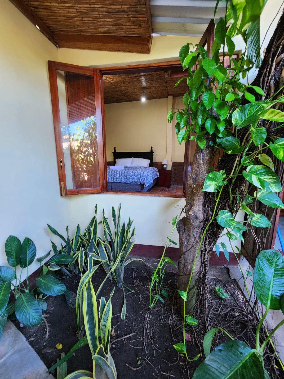 Macondo House 3BD|2BH|9 Guests|Wifi|Private