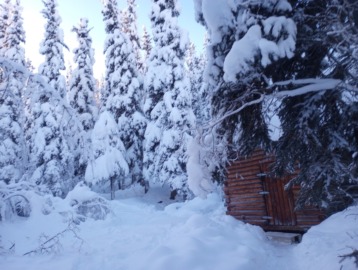 Rustic Alaskan Log Cabin