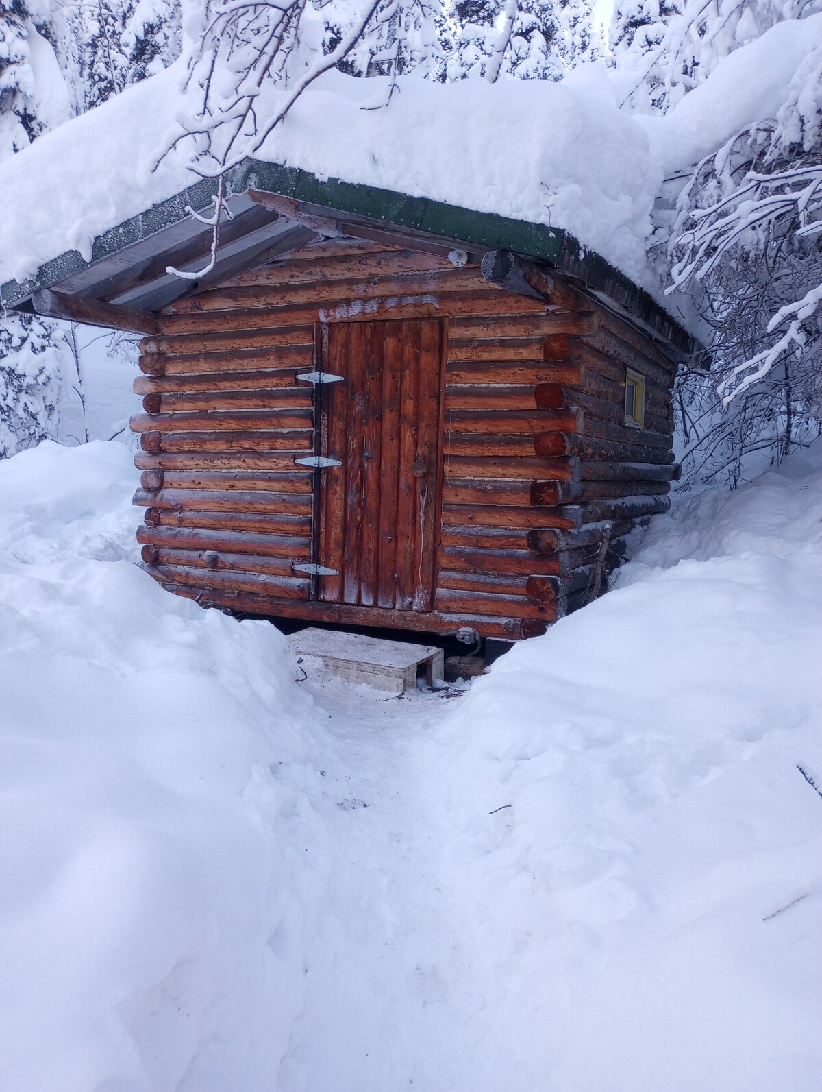 Rustic Alaskan Log Cabin