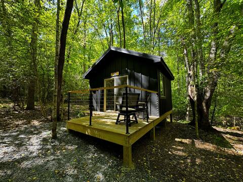 Bed & Bear 476 - Cozy Cabin in Pisgah Forest