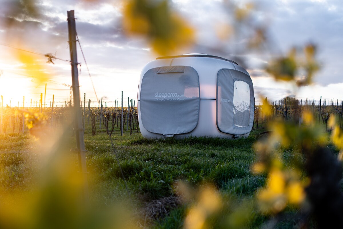 Weingut Römerberg, sleeperoo Cube Wein