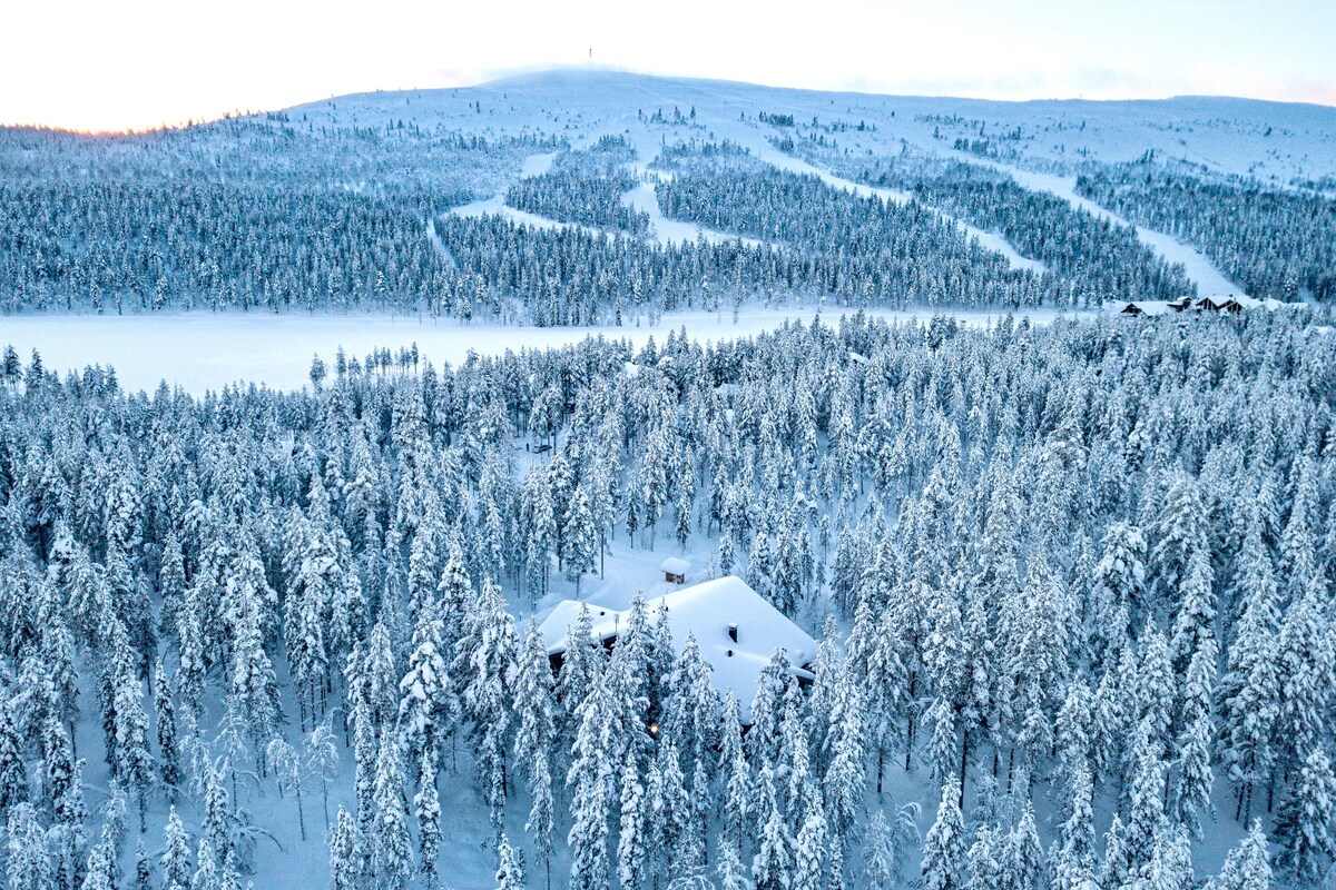 WHITE WOODS Levi, Finland