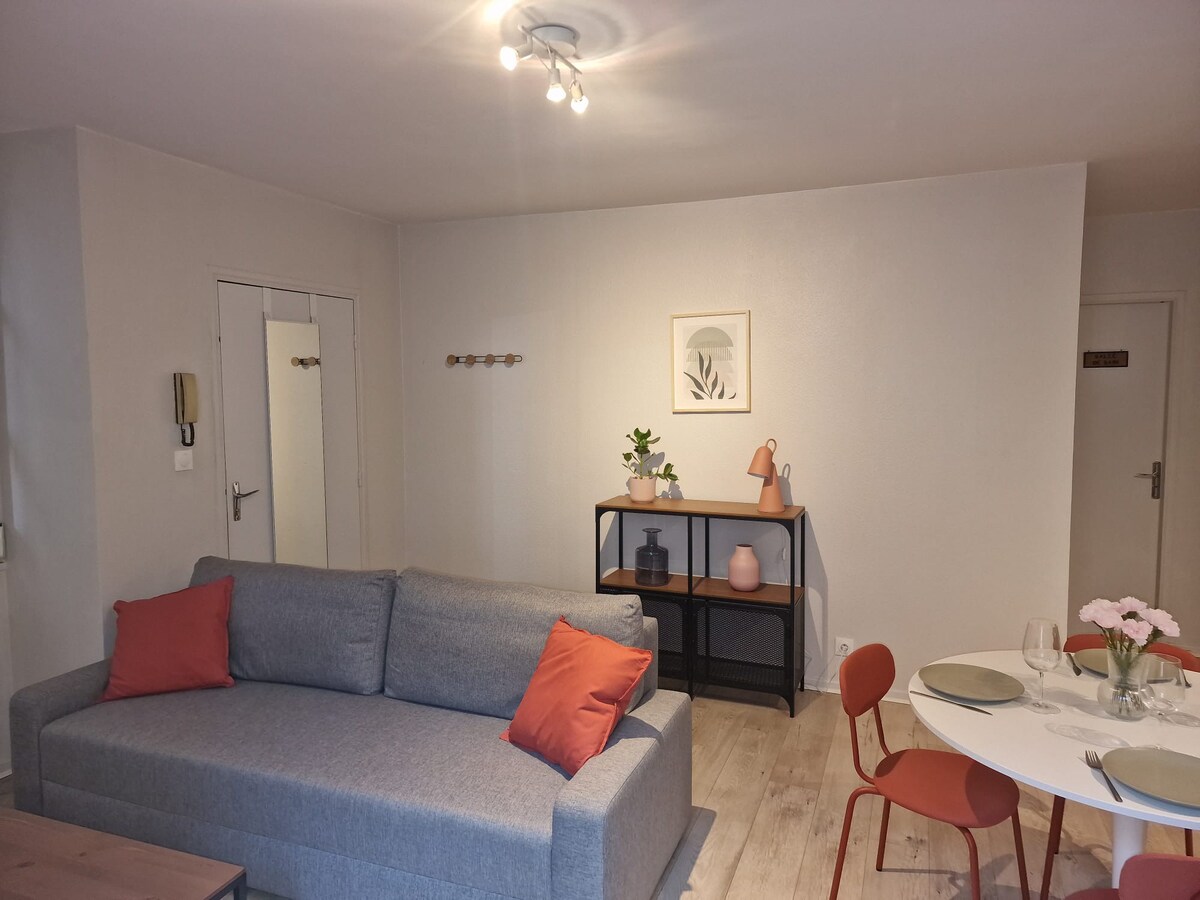 T2 cosy 40m2 - centre historique Besancon.