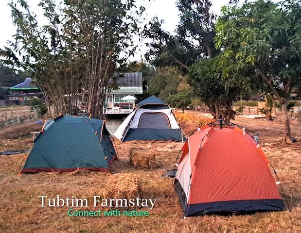 Tambon Ban Tam的民宿